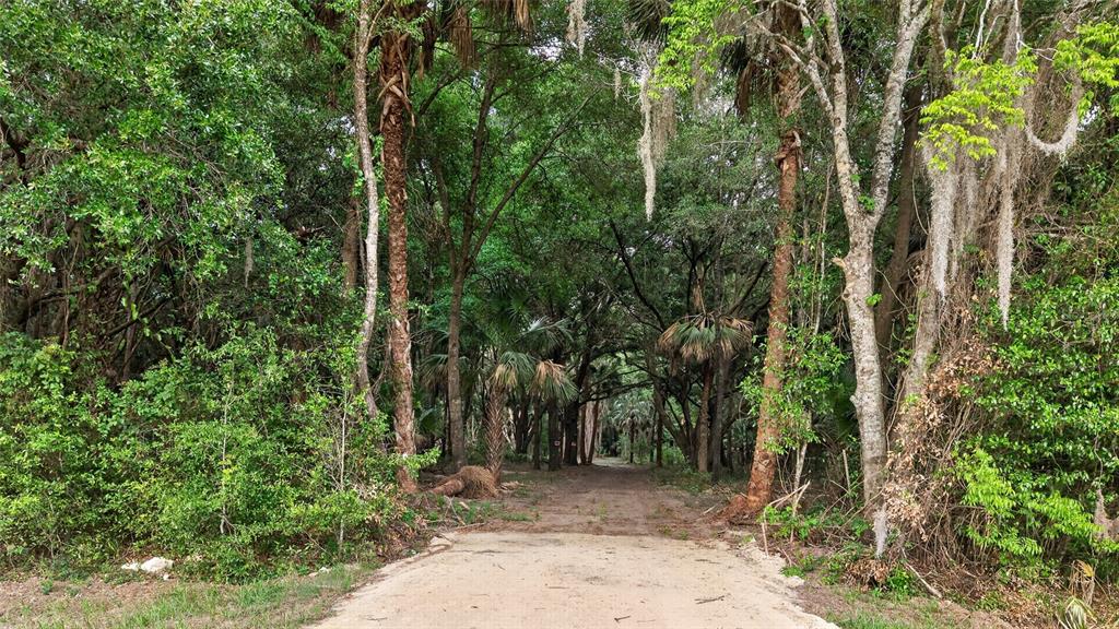 A dirt path leads into a dense, wooded area with tall trees and Spanish moss — 0 N US HWY 301, CITRA, FL