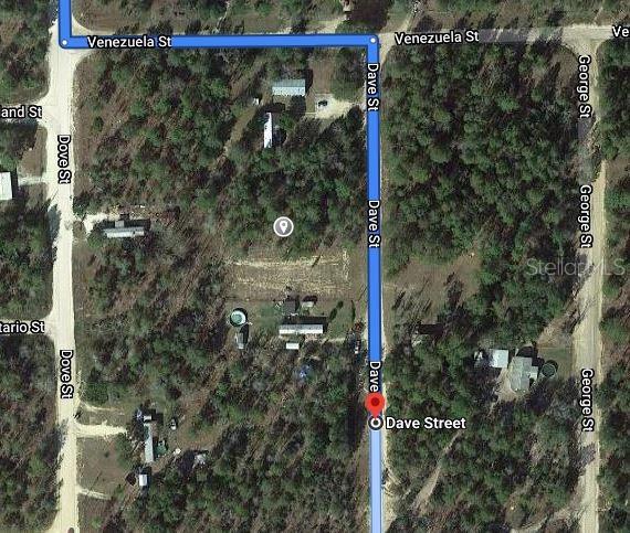00 DAVE STREET, INTERLACHEN, FL — photo 2 of 3