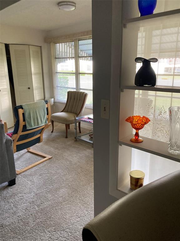A living room features carpeted floors, a striped accent chair, and a built-in display shelf — 5660 80TH STREET N UNIT B107, ST PETERSBURG, FL