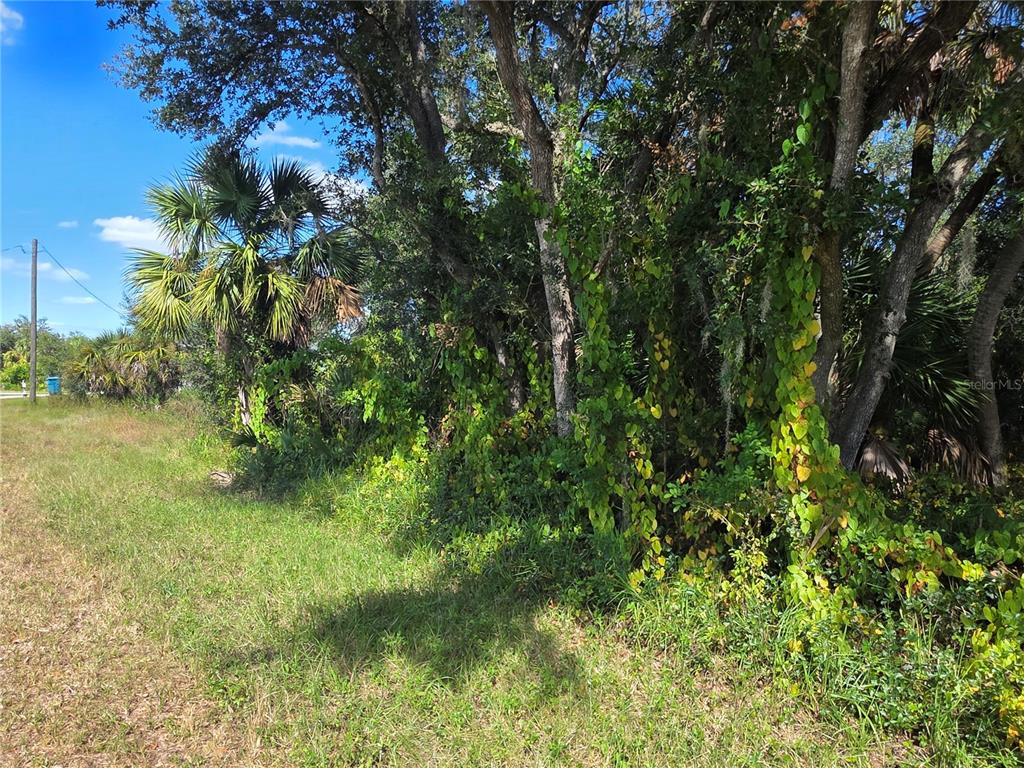 A grassy lot features a dense line of trees and shrubs under a blue sky — 414 LIDDY STREET, PORT CHARLOTTE, FL