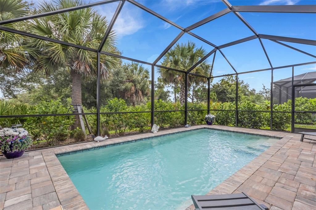 A rectangular swimming pool with stone pavers is enclosed by a black metal screen cage — 10374 ABACO FALLS DRIVE, ENGLEWOOD, FL