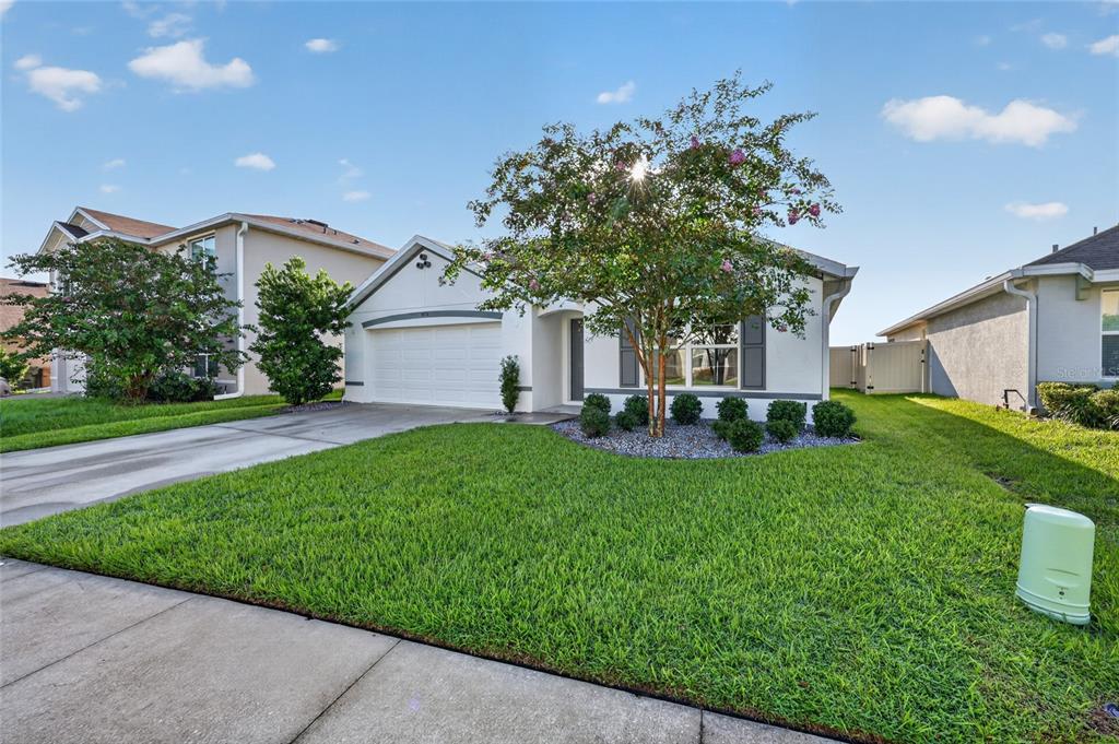 A single-story house with a white garage, a front lawn, and a flowering tree — 5491 SW 43RD COURT, OCALA, FL