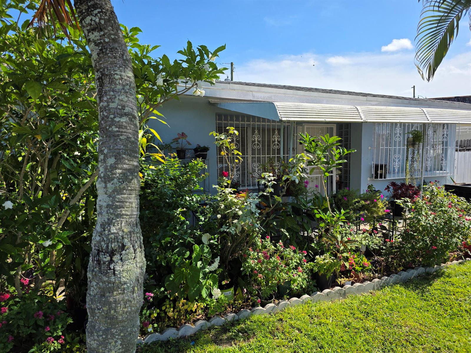 A light blue house exterior with a metal awning, security bars, and a lush garden — 528 49th Street, West Palm Beach FL 33407, WEST PALM BEACH, FL