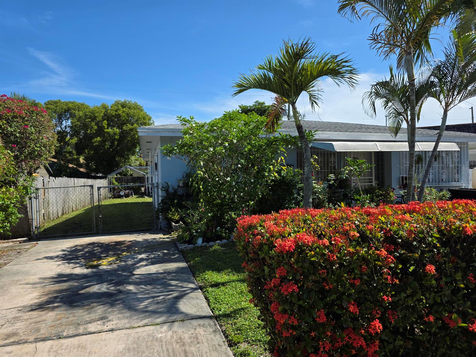 A light blue house features a concrete driveway, a chain-link gate, and vibrant red landscaping — 528 49th Street, West Palm Beach FL 33407, WEST PALM BEACH, FL