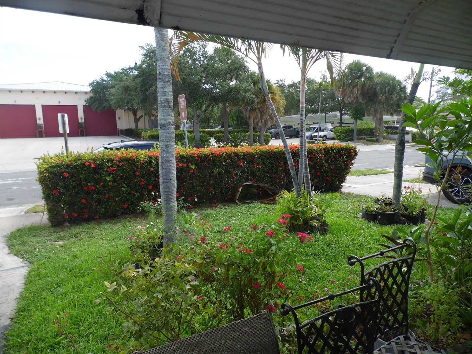 A view from a porch looking out at a lawn, a hedge, and palm trees — 528 49th Street, West Palm Beach FL 33407, WEST PALM BEACH, FL