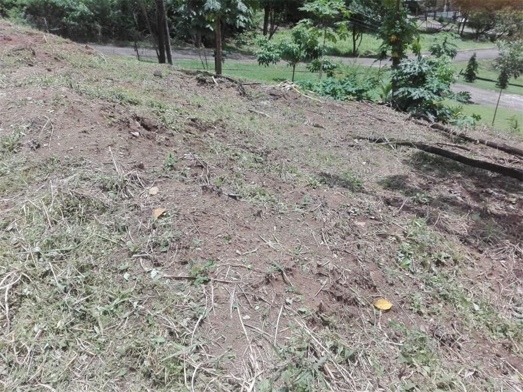 A sloped, grassy plot of land with scattered dirt and some trees in the background — Lot E-7a Calle Del Cerro Con La Calle Diagonal, Las Cumbres, FL