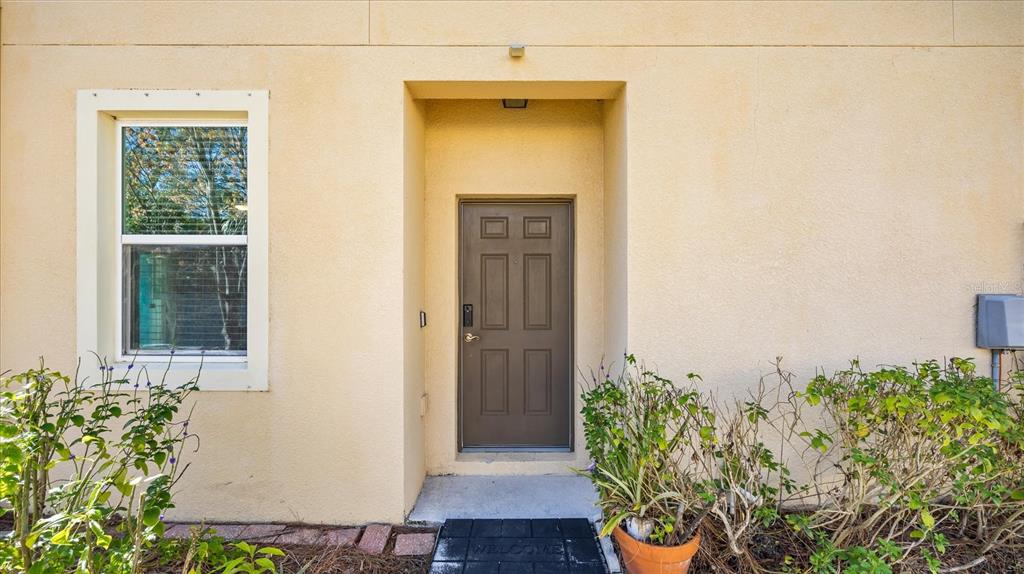 The exterior of a home features a brown front door and a single window — 12843 BUFFALO RUN DRIVE, GIBSONTON, FL