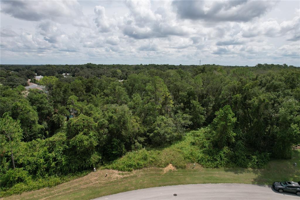 2856 E CHARTWELL CIRCLE, HERNANDO, FL — photo 3 of 9