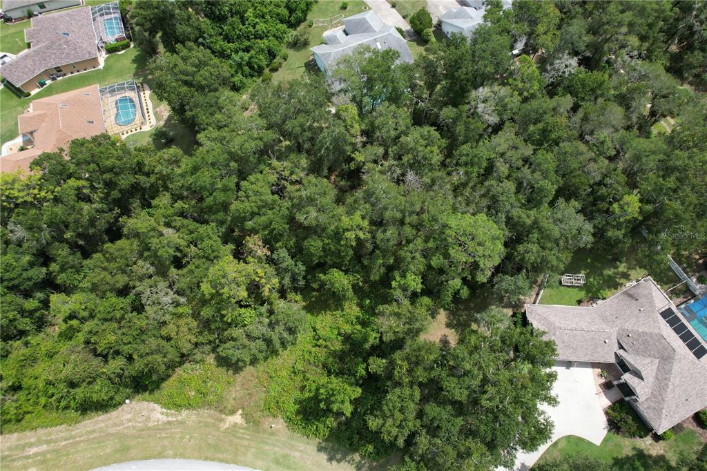2856 E CHARTWELL CIRCLE, HERNANDO, FL — photo 5 of 9