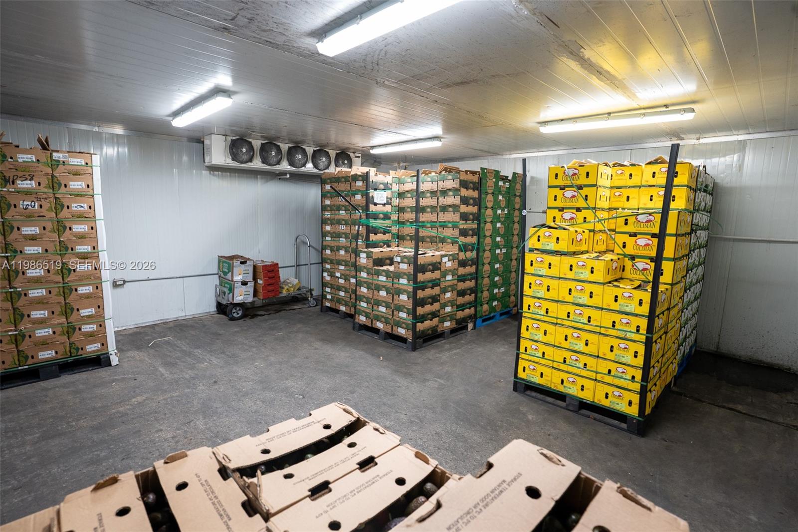 A refrigerated storage room contains multiple stacks of cardboard produce boxes on wooden pallets — 1227 NW 21st Street, FL 33142, FL