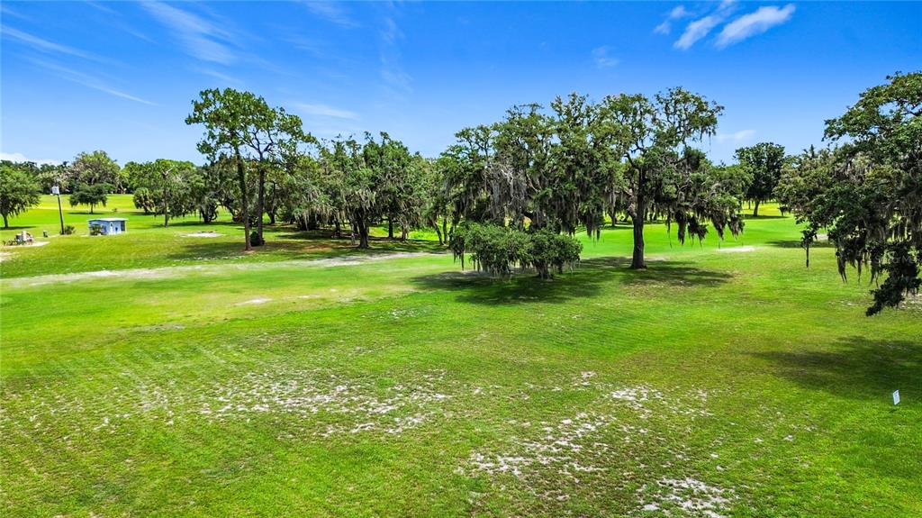 A grassy golf course fairway features scattered mature oak trees under a bright blue sky — 8831 E SANDPIPER DRIVE, INVERNESS, FL