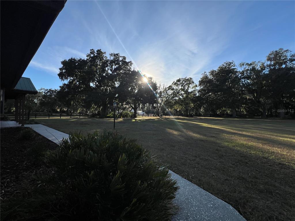 A view of a grassy yard with large trees and a sunlit sky — 5912 BAILEY ROAD, PLANT CITY, FL
