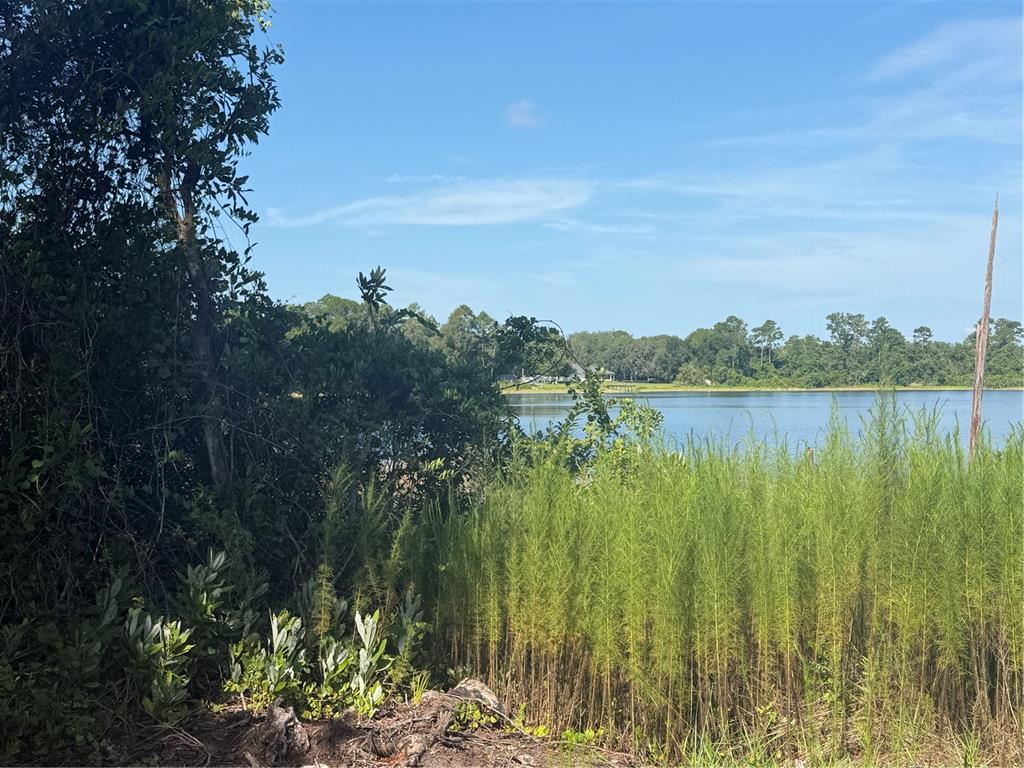 A view of a lake framed by trees and tall grasses under a blue sky — TBD MALAUKA RADIAL, OCKLAWAHA, FL