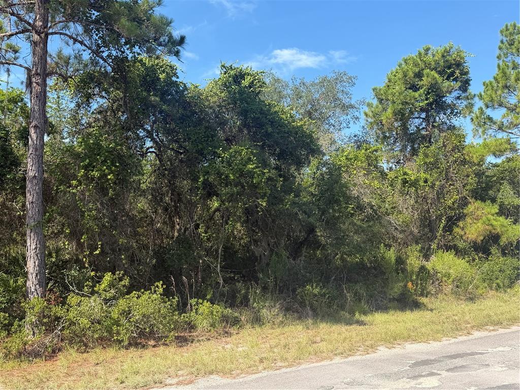 A dense, wooded lot sits adjacent to a paved road under a clear blue sky — TBD MALAUKA RADIAL, OCKLAWAHA, FL