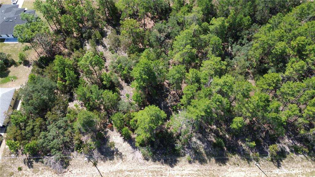 An aerial view shows a wooded, undeveloped residential lot next to a paved road — 3848 W KEENE LANE, CITRUS SPRINGS, FL