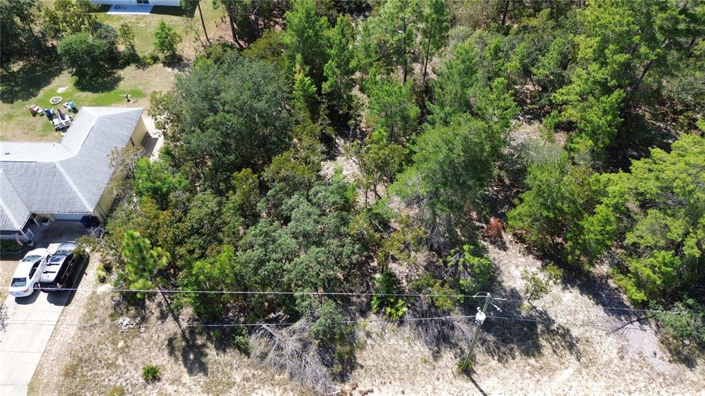 An aerial view shows a wooded lot adjacent to a house with a driveway — 3848 W KEENE LANE, CITRUS SPRINGS, FL