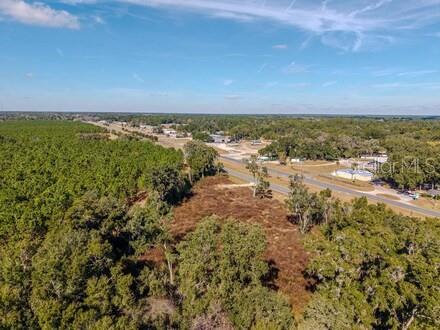 TBD NE 54 PLACE, WILLISTON, FL — photo 3 of 4