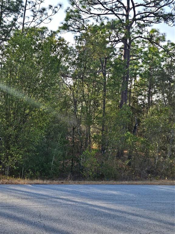 A view of a wooded lot from an asphalt road — SW ADMIRAL LANDING DR., DUNNELLON, FL