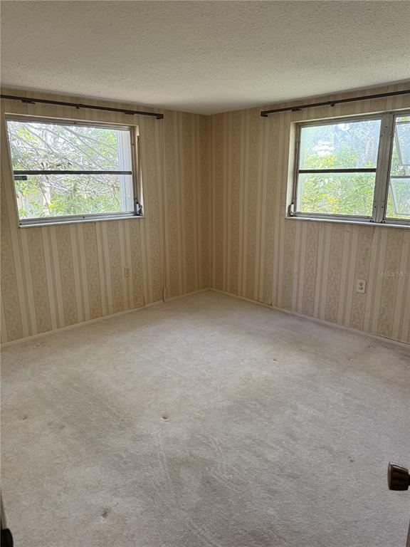 An empty bedroom features beige striped wallpaper, light-colored carpeting, and two windows with curtain rods — 9401 GRAY FOX LANE, PORT RICHEY, FL