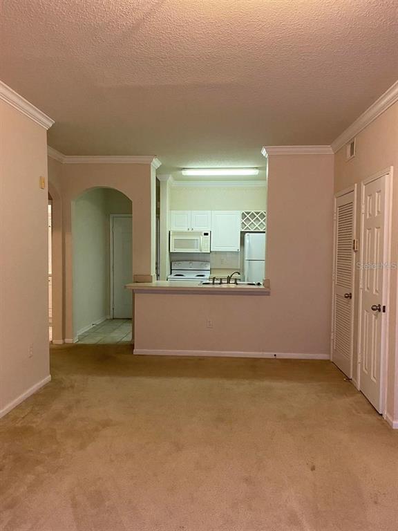 A carpeted living area opens to a kitchen with white cabinets and a breakfast bar — 1216 S MISSOURI AVENUE UNIT 428, CLEARWATER, FL