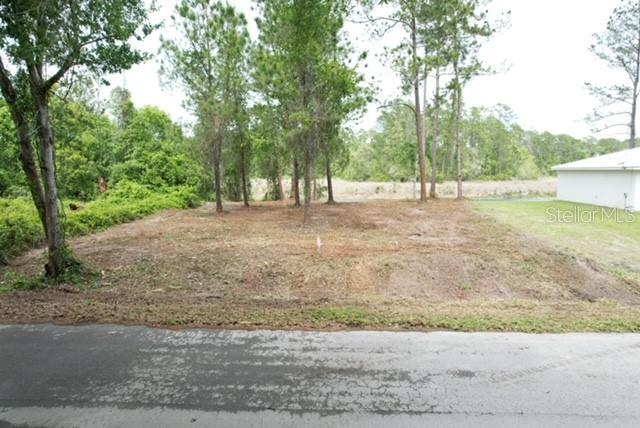LOCUST RUN DRIVE, OCALA, FL — photo 3 of 11