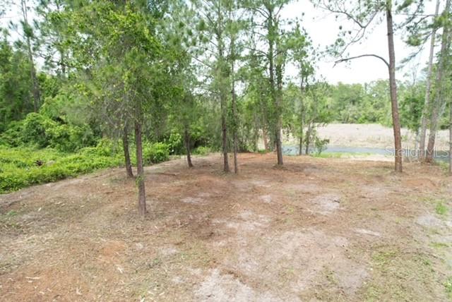 LOCUST RUN DRIVE, OCALA, FL — photo 4 of 11