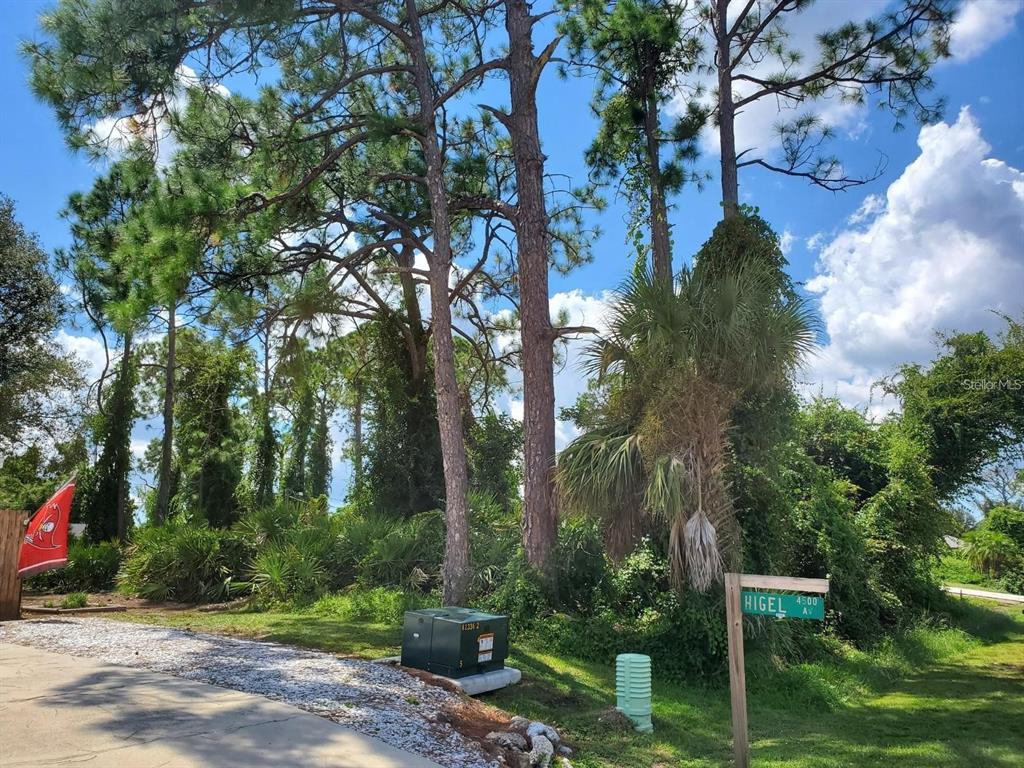 A street sign for Higel Avenue stands near tall pine trees and a utility box — SLAYTON AVENUE, NORTH PORT, FL