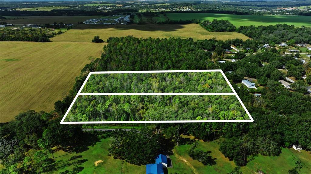 An aerial view shows two adjacent rectangular wooded lots outlined in white — SHENNA LANE, ZEPHYRHILLS, FL