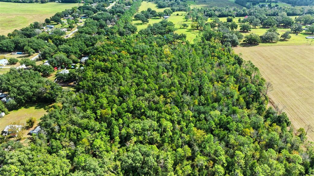 An aerial view shows a dense forest bordered by residential homes and open agricultural fields — SHENNA LANE, ZEPHYRHILLS, FL