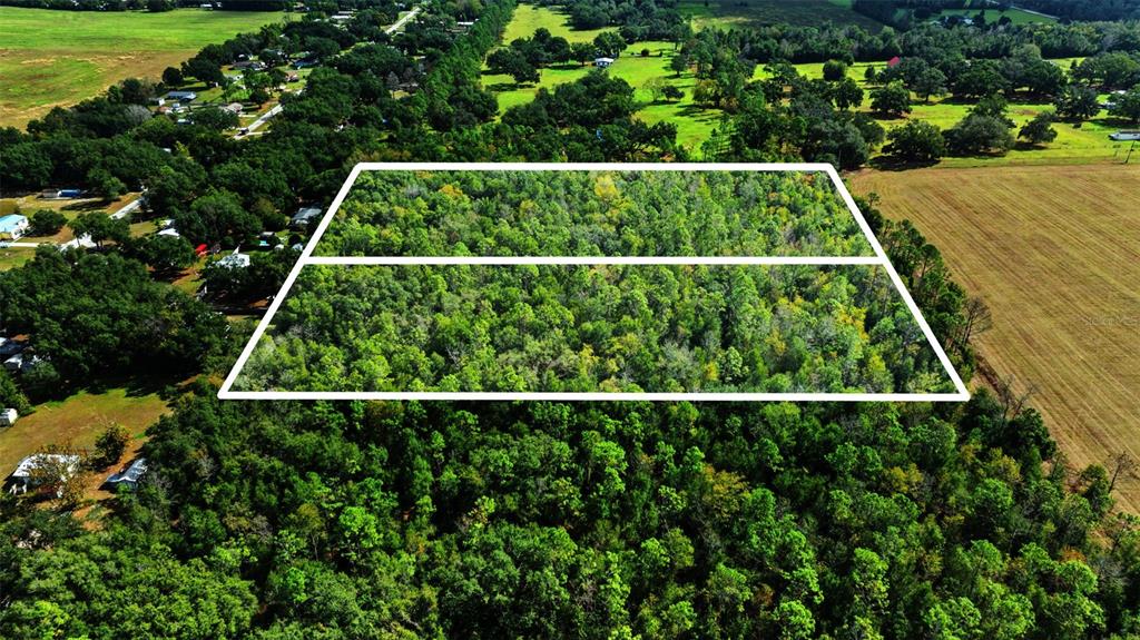 An aerial view shows two adjacent rectangular plots of land covered in dense forest — SHENNA LANE, ZEPHYRHILLS, FL