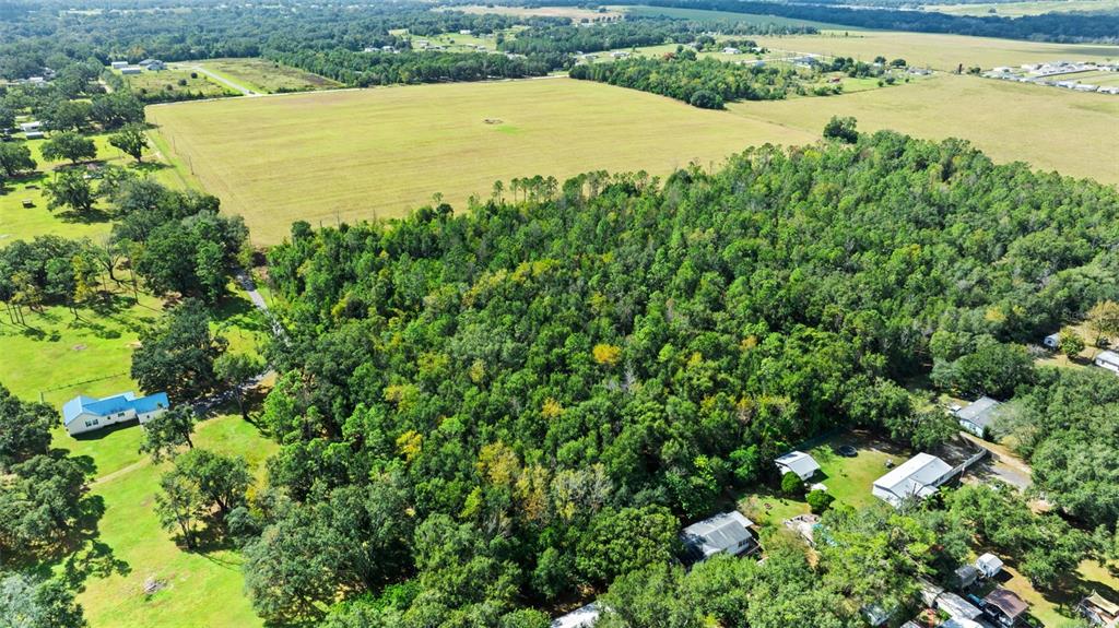 An aerial view shows a large wooded area bordered by open fields and several houses — SHENNA LANE, ZEPHYRHILLS, FL