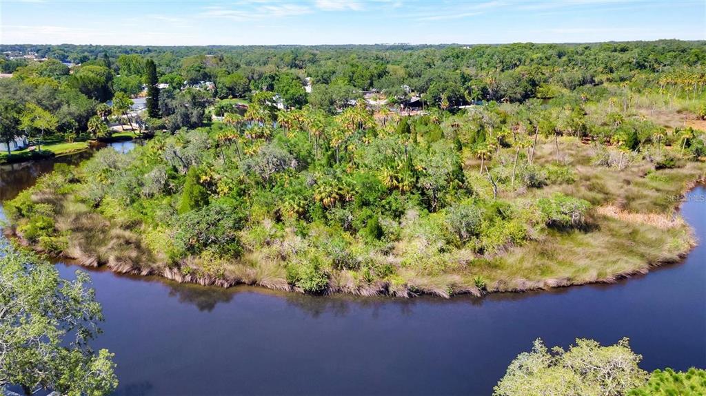 An aerial view shows a lush, tree-covered island surrounded by a calm, dark-water river — 0 JAPONICA COURT, NEW PORT RICHEY, FL