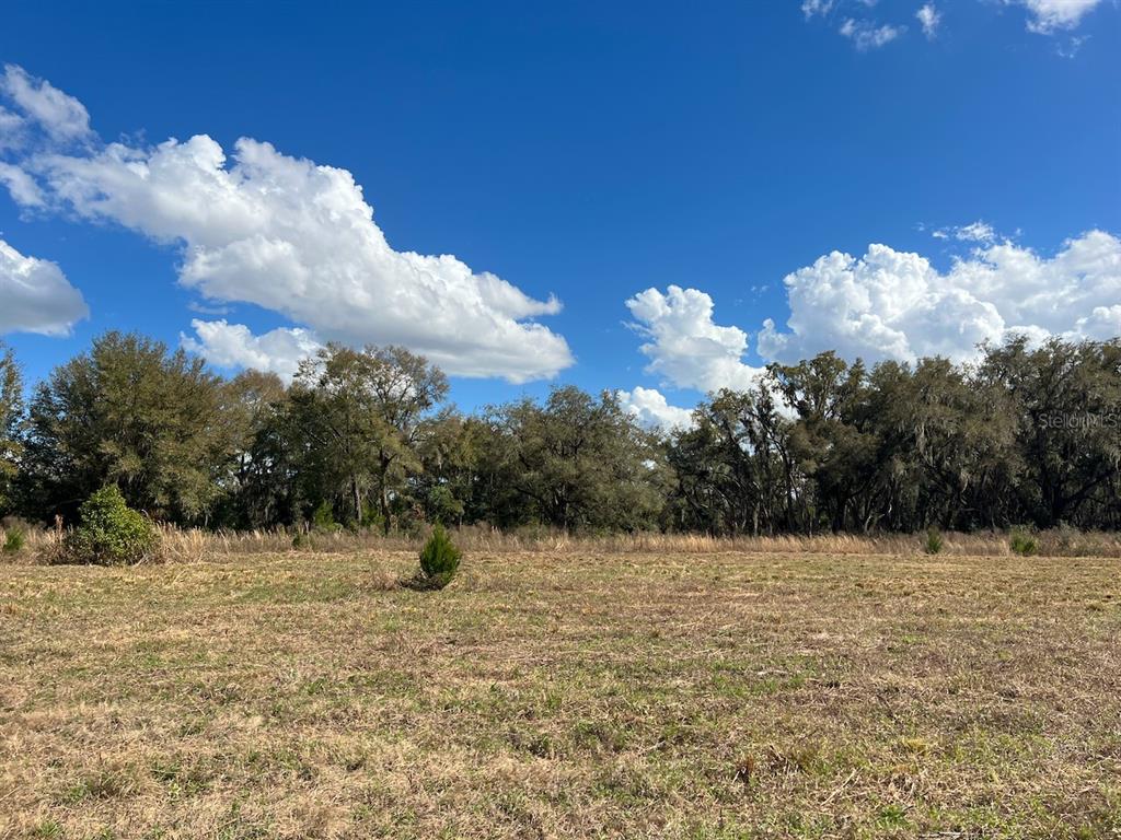 2351 NE HIGHWAY 41, WILLISTON, FL — photo 5 of 26