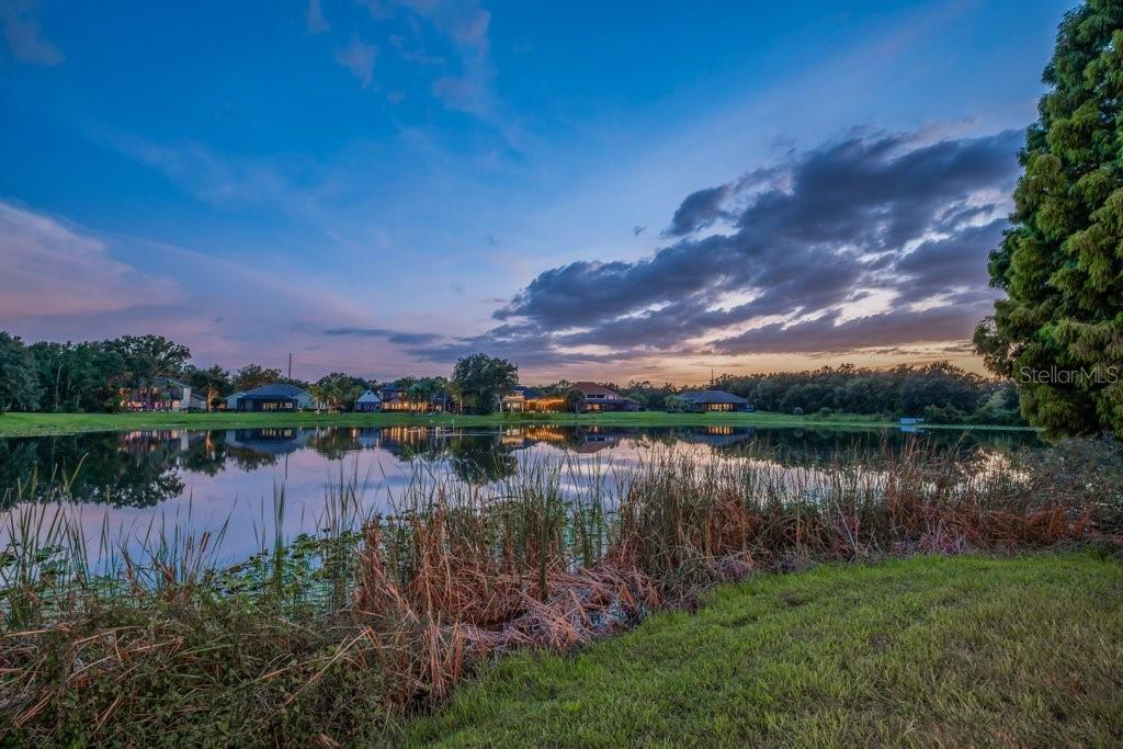 6217 KINGBIRD MANOR DRIVE, LITHIA, FL — photo 4 of 30