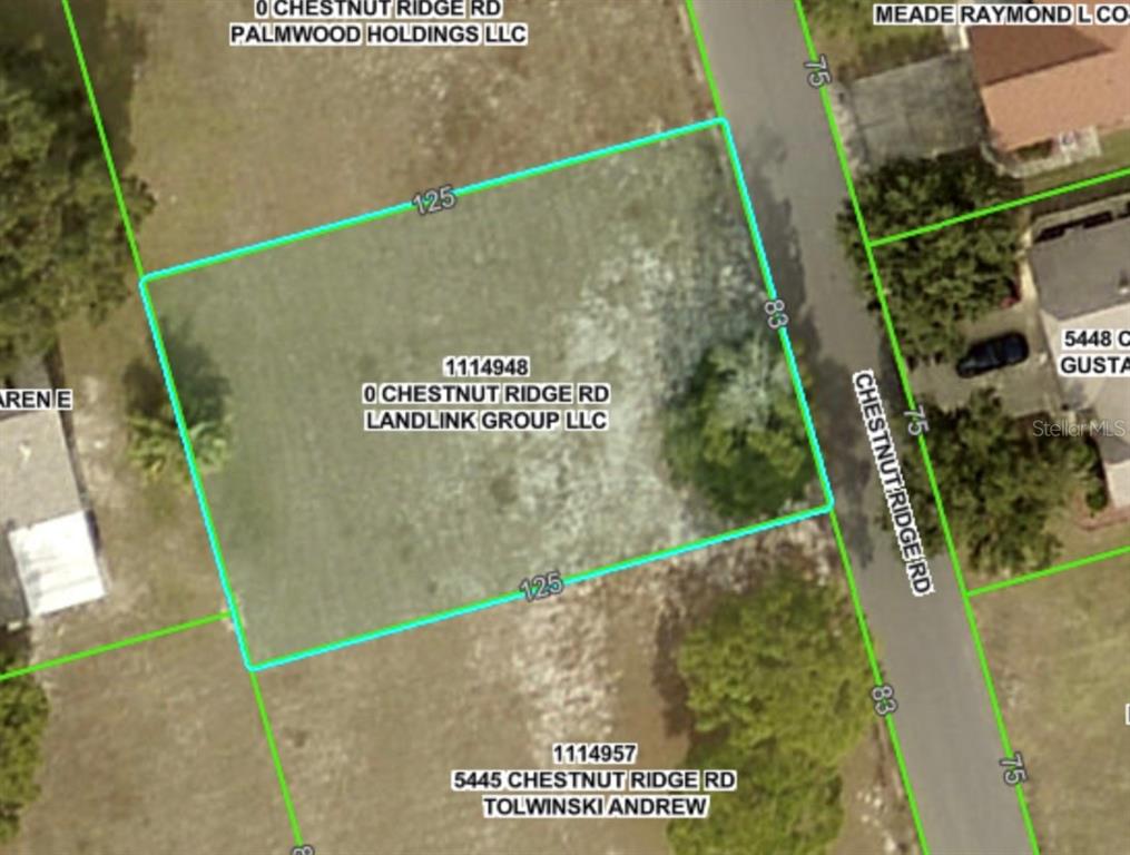 This is a map showing a rectangular plot of land along a road — Lot 194 CHESTNUT RIDGE ROAD, DADE CITY, FL