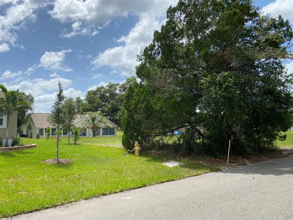 A grassy lot with a fire hydrant and large trees next to a suburban house — Lot 194 CHESTNUT RIDGE ROAD, DADE CITY, FL