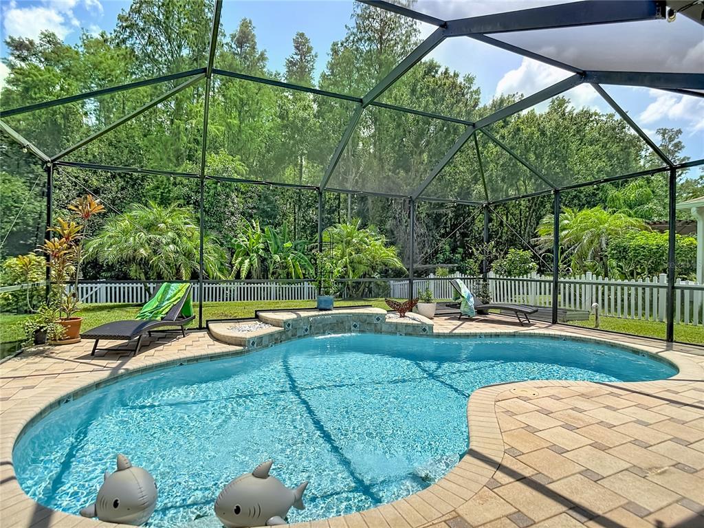 12820 SOLOLA WAY, NEW PORT RICHEY, FL — photo 2 of 30