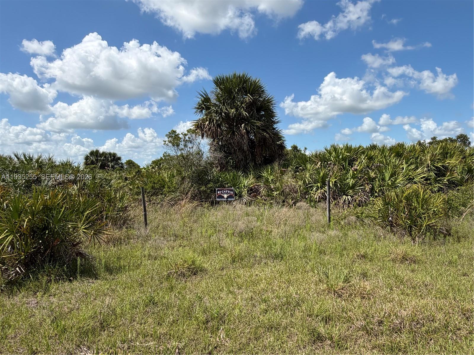 A grassy field features a small sign for RJ Cattle in front of dense vegetation — NW 72 Ave, Okeechobee FL 34972, OKEECHOBEE, FL