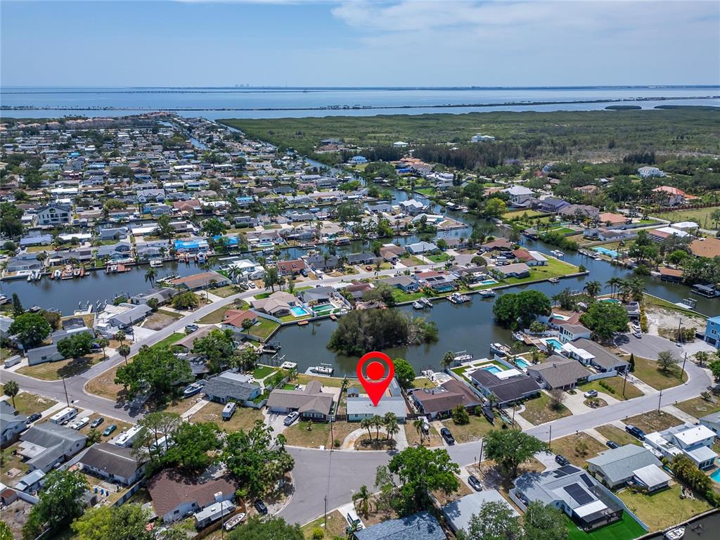 An aerial view shows a residential neighborhood with a house marked by a red pin — 8702 DRIFTWOOD DRIVE, TAMPA, FL