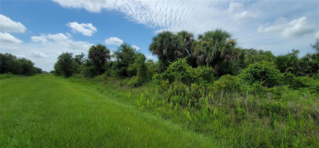A grassy field borders a dense line of trees and shrubs under a blue sky — 20366 NW 270TH STREET, OKEECHOBEE, FL