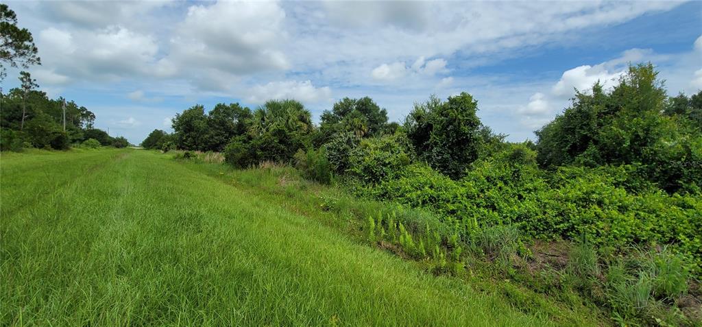A grassy field borders a dense line of trees and shrubs under a cloudy sky — 20366 NW 270TH STREET, OKEECHOBEE, FL