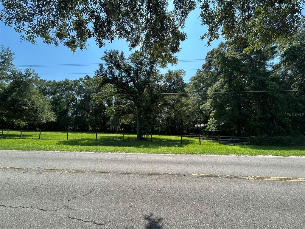 A grassy, fenced lot with large trees sits behind a paved road — 1119 SW 143RD STREET, NEWBERRY, FL
