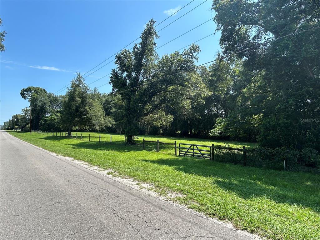 A grassy, fenced lot with mature trees sits alongside a paved road under a clear sky — 1119 SW 143RD STREET, NEWBERRY, FL