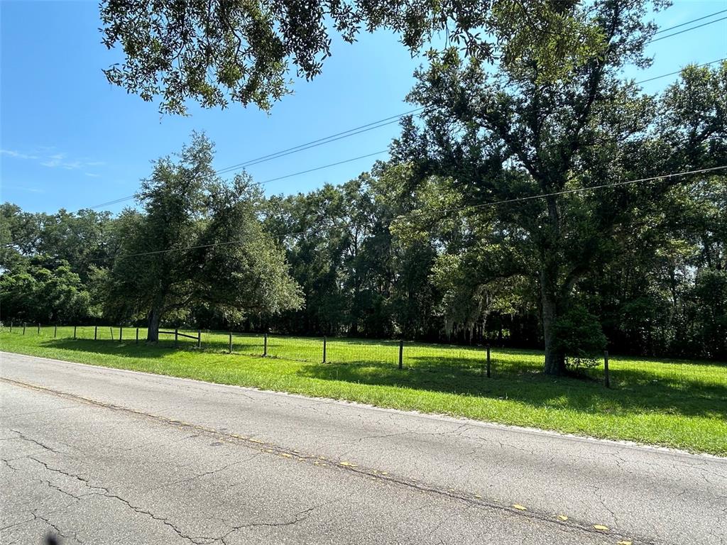 A grassy, fenced lot with several large trees sits alongside a paved road — 1119 SW 143RD STREET, NEWBERRY, FL