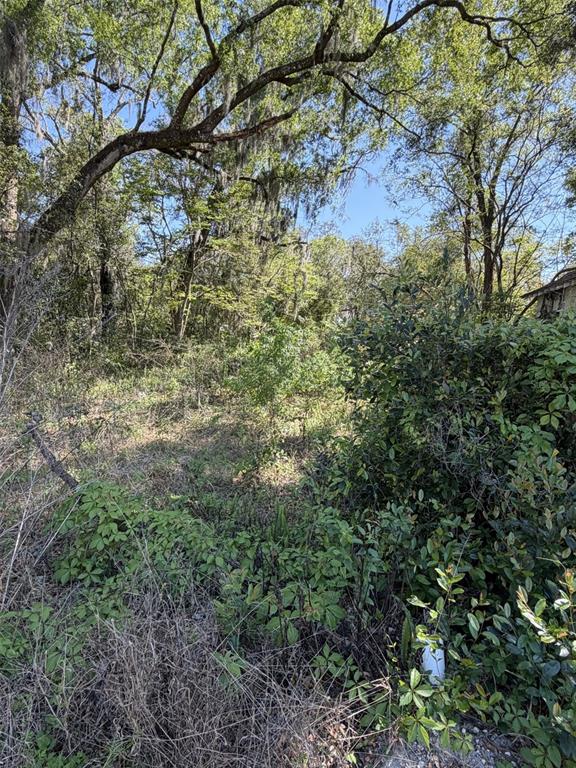 110 E MERCERS FERNERY ROAD, DELAND, FL — photo 2 of 3