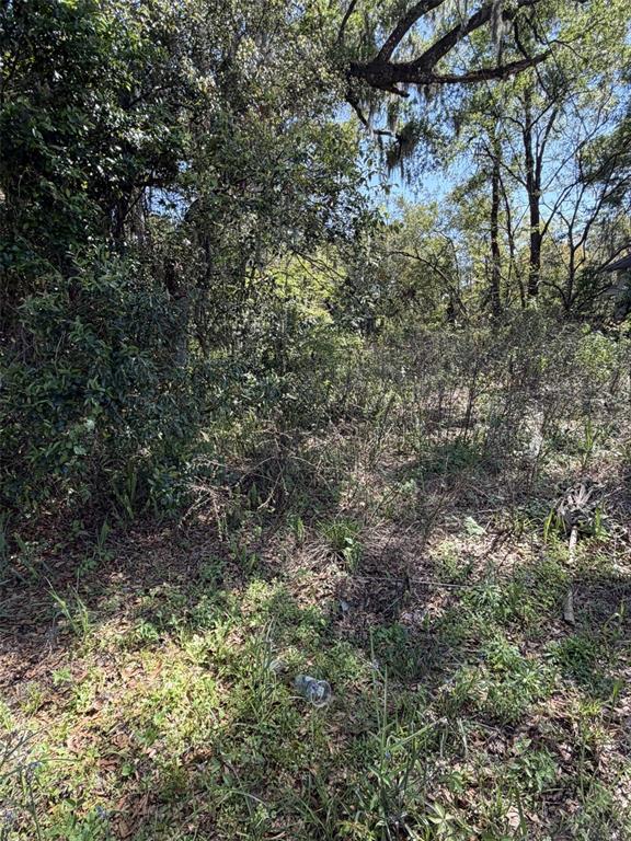 110 E MERCERS FERNERY ROAD, DELAND, FL — photo 3 of 3