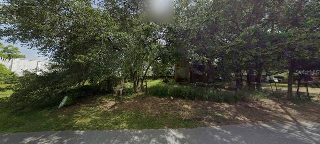 A wooded, fenced lot with mature trees and tall grass sits along a paved road — 1903 BRADFORD AVENUE, LEESBURG, FL