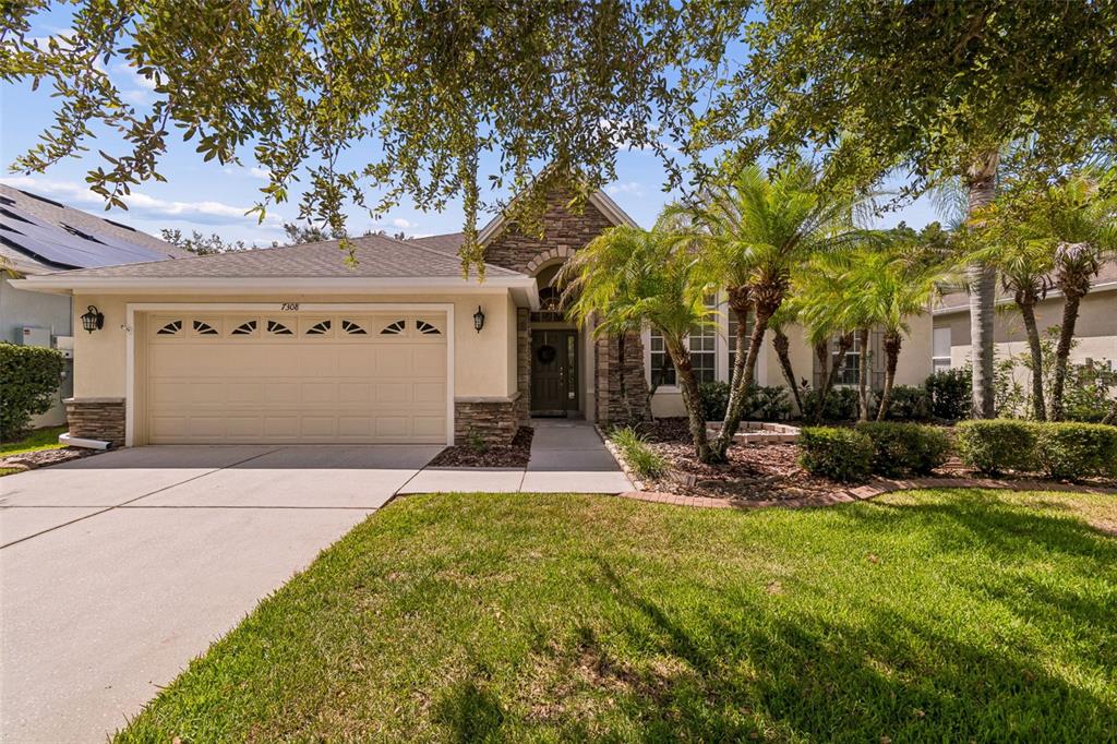 A single-story house with a beige garage, stone accents, and palm trees in the front yard — 7308 AMBLESIDE DRIVE, LAND O LAKES, FL