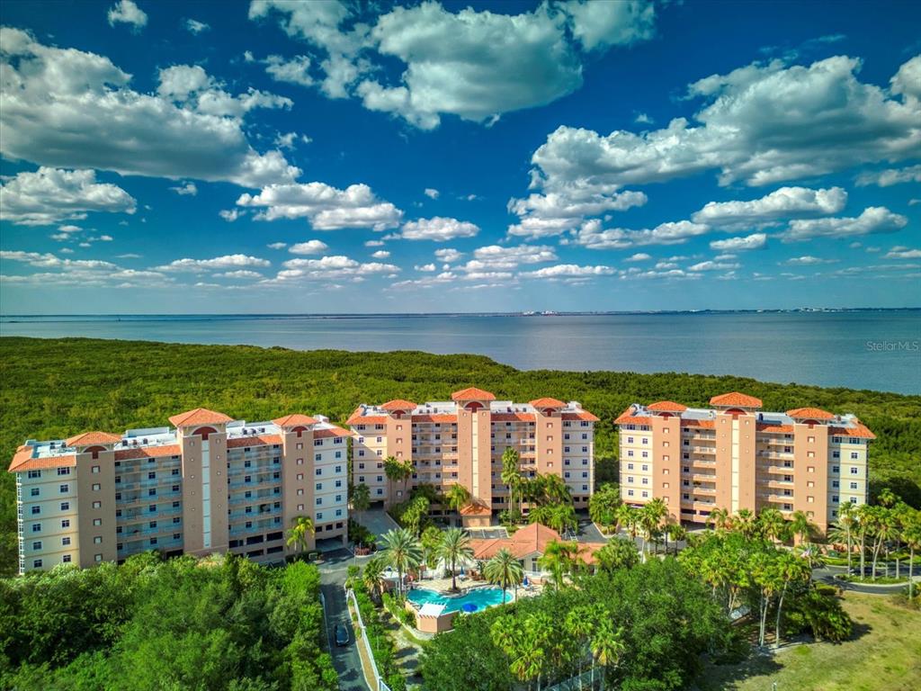 12033 GANDY BOULEVARD N UNIT 131