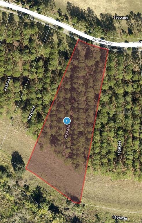 16822 ARTIMINO LOOP, BELLA COLLINA, FL — photo 4 of 16